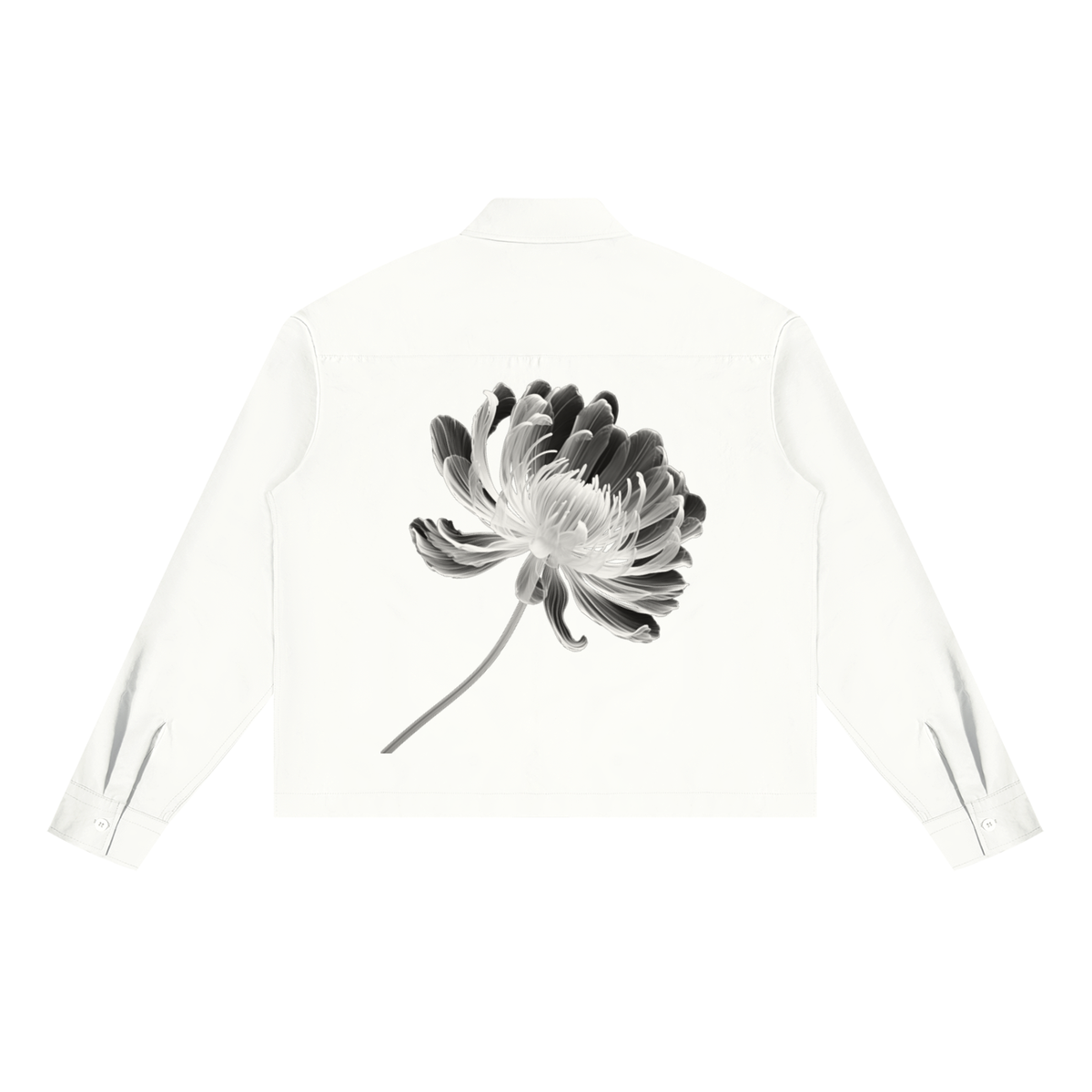 CLANDESTINE Boxy Long Sleeve Shirt