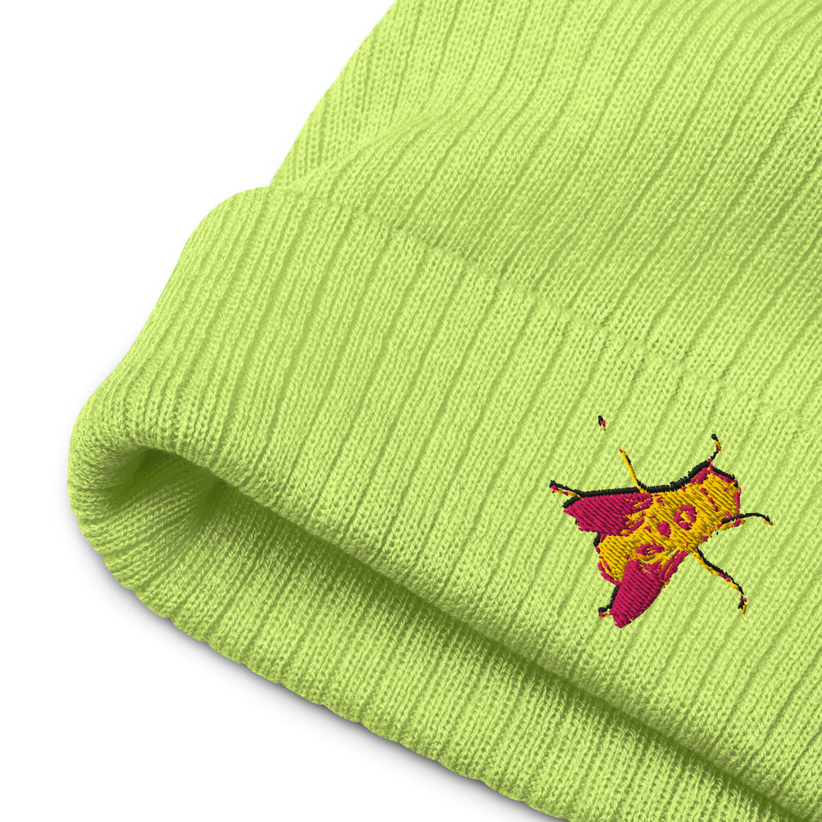 UNINVITED Ribbed Knit Beanie