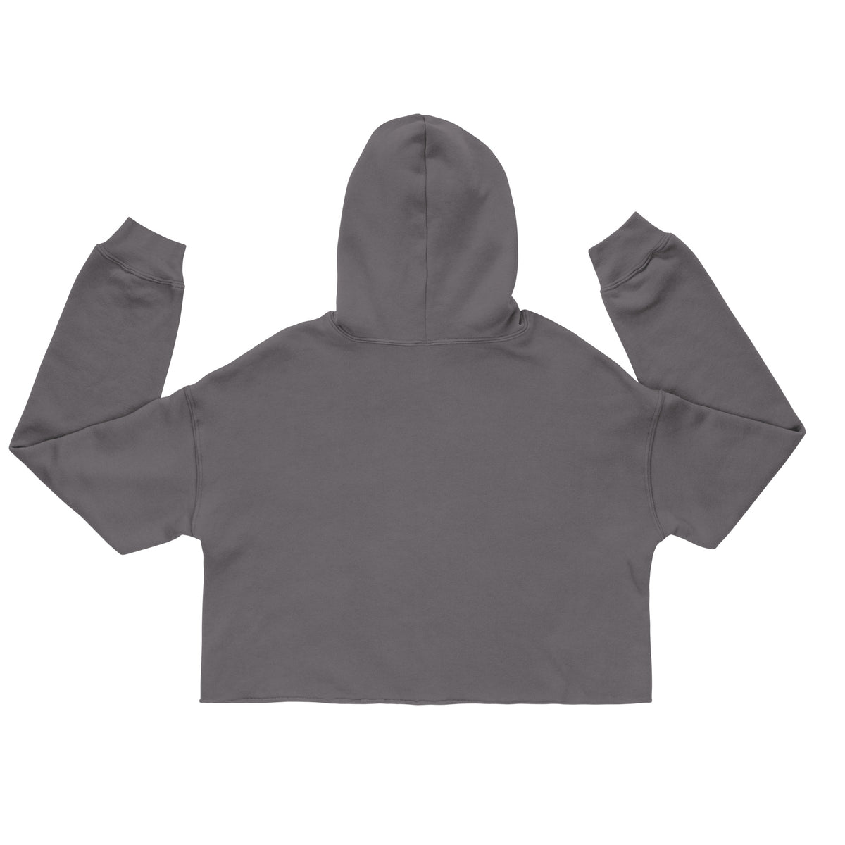 NEVEREADY Crop Hoodie